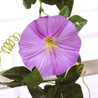 uploads/erp/collection/images/Home Garden/CongDing/XU0611227/img_b/XU0611227_img_b_3